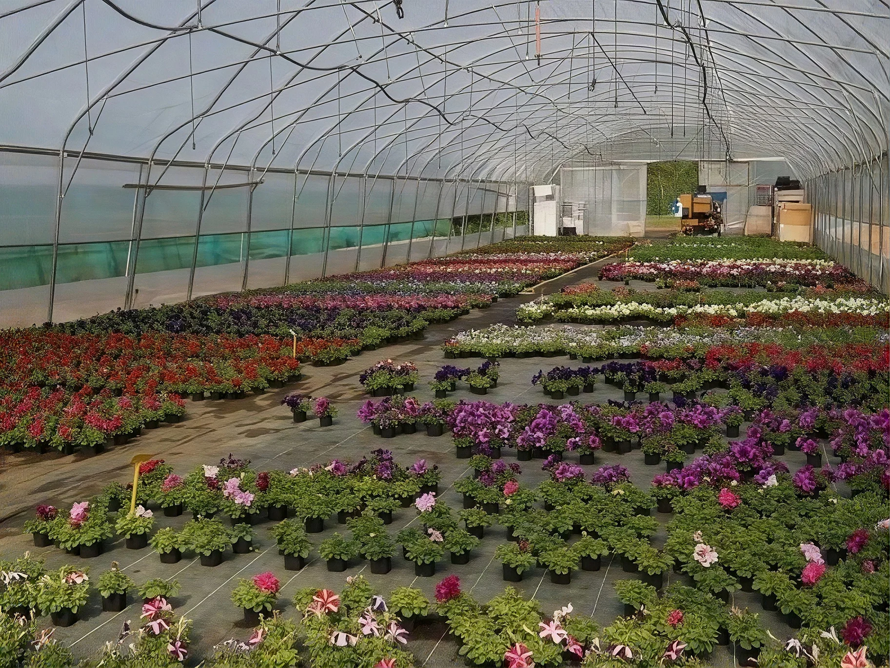 entretien de jardin vouille