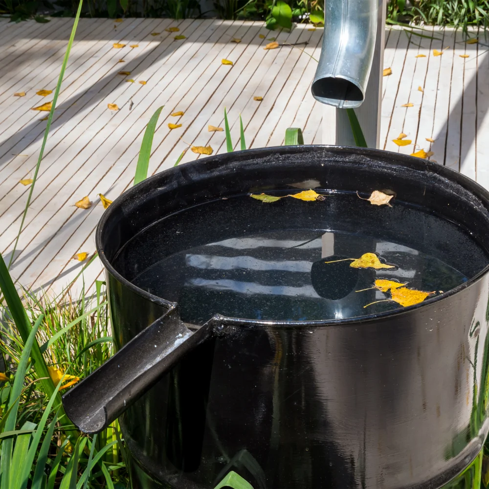 économiser eau jardin