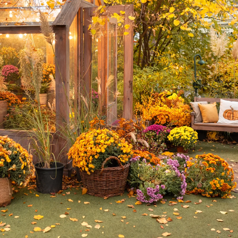 préparer jardin automne